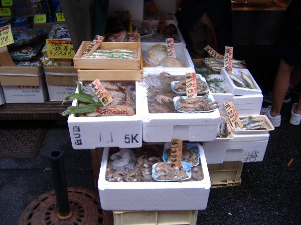 tsukiji-market