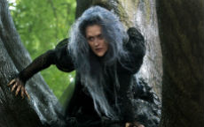 meryl streep into the woods