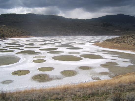 Lago maculato (Kliluk)