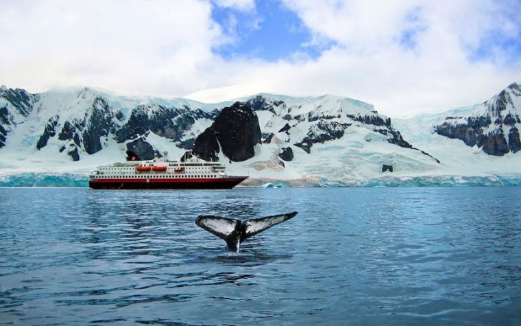 Neko Harbour, Antarctica