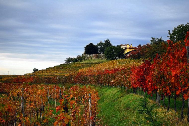 foliage d'autunno