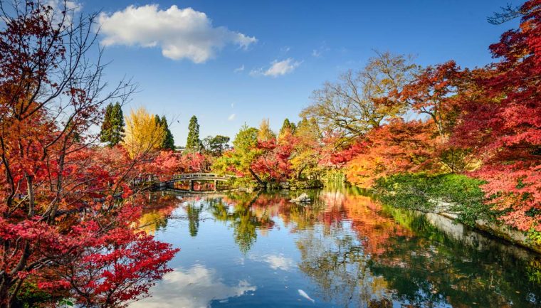 foliage d'autunno