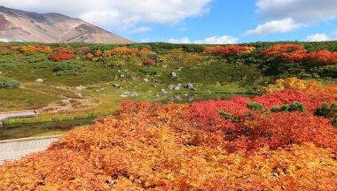 Koyo15_150916_vacanze In Autunno