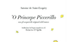 princepe piccerillo