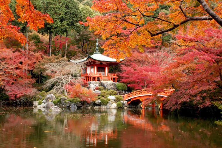 Daigo Ji